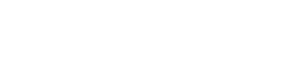 中宏保险logo
